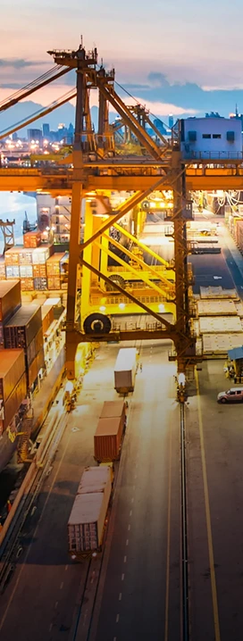 Port Hoisting Machinery