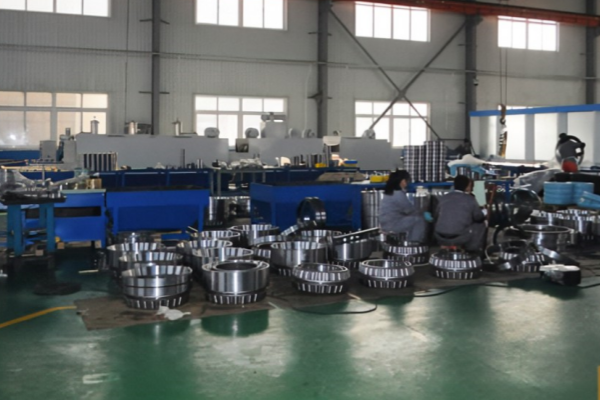 Proactive & Continuous Support